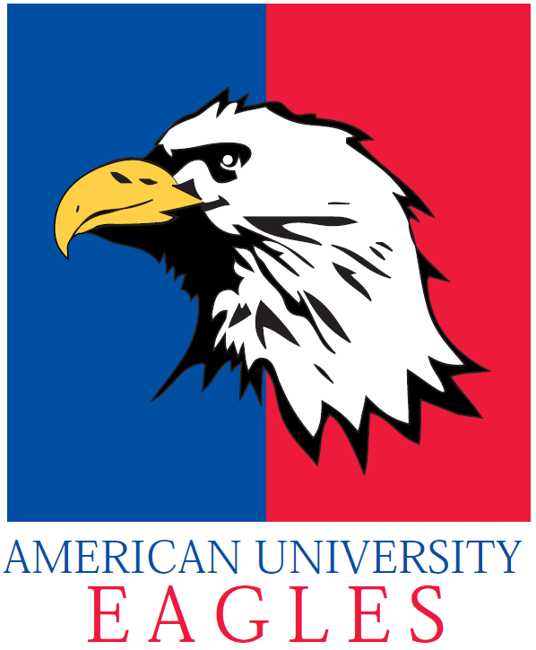 American Eagles 1985-2005 Primary Logo DIY iron on transfer (heat transfer)
